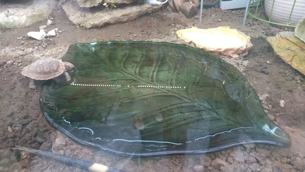 Glass Leaf Bowl