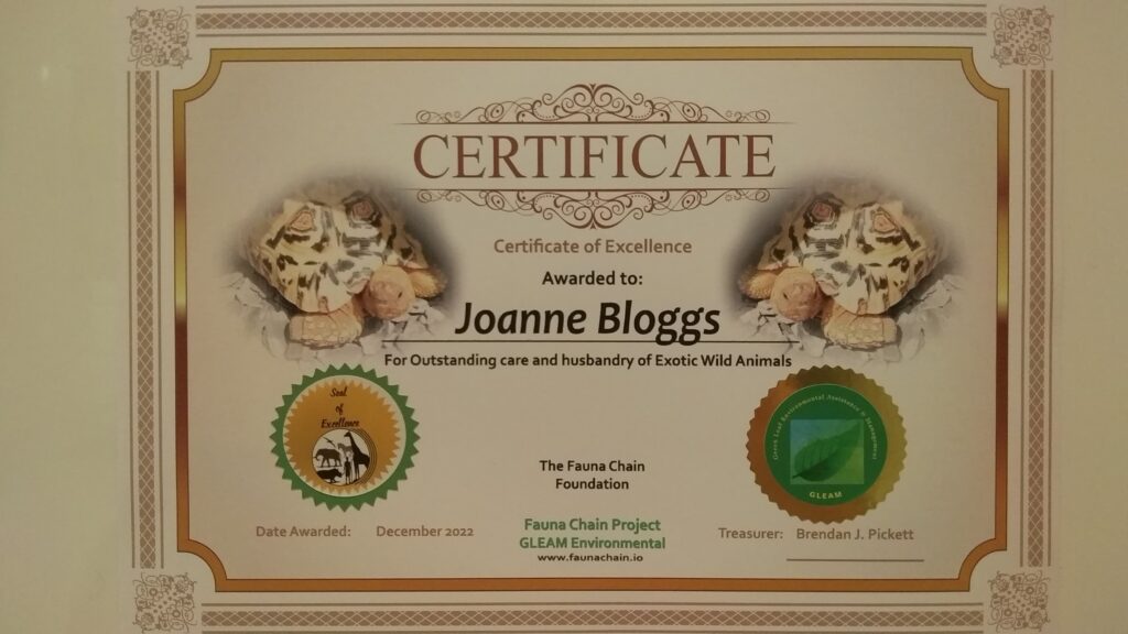 Tortoise Care Certificate of Achievement