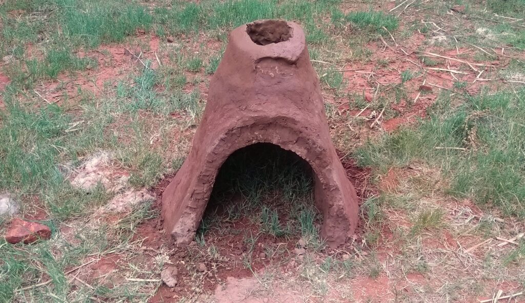 Termite Mound / Ant Hill Tortoise Hide