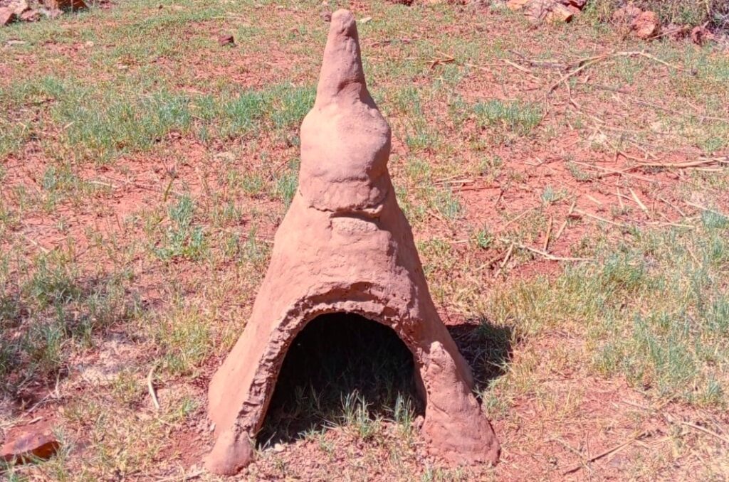 Termite Mound / Ant Hill Tortoise Shelter