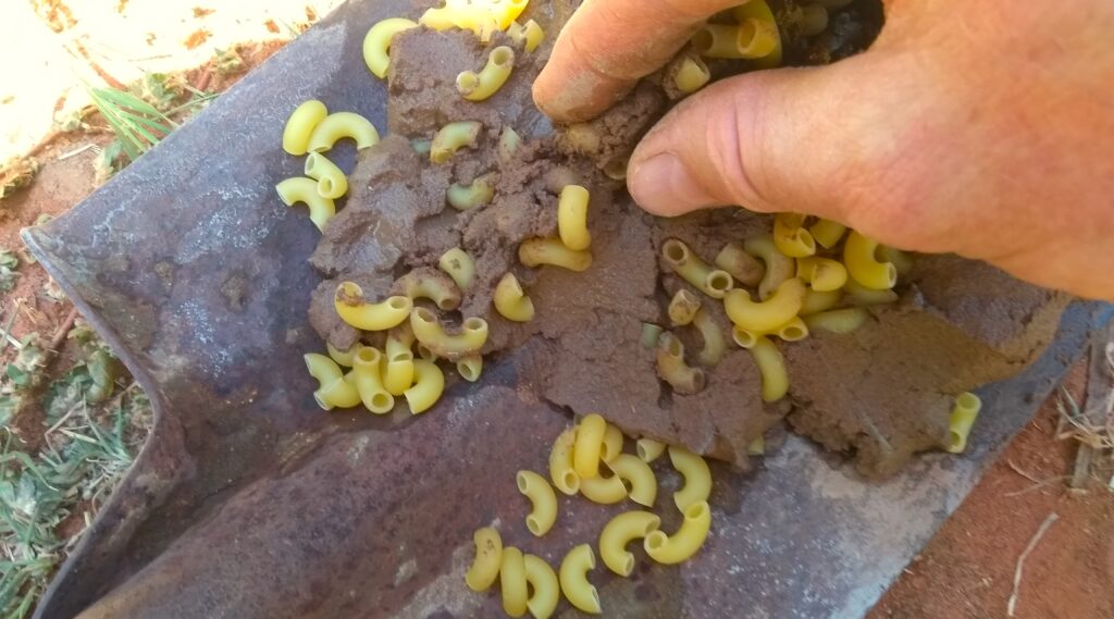 Mixing Macaroni with cement makes a hide look like a broken open termite mound or old ants nest