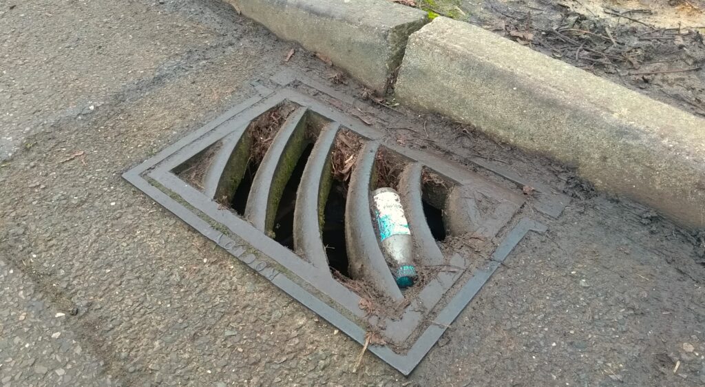 Small wild animals will die once down a storm water drain, especially baby tortoises