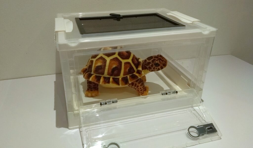 Dedicated Tortoise Container for Medical Procedures and Transporting