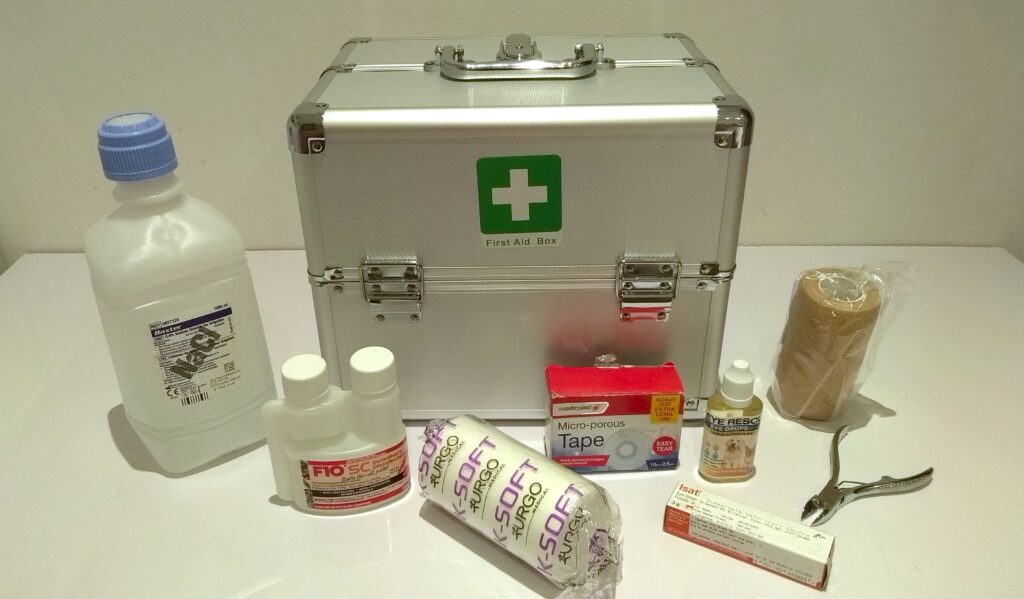 Tortoise First Aid Box