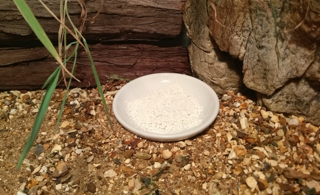 Small bowl of Marine Algal Calcium / Algal Lime Tortoise supplement